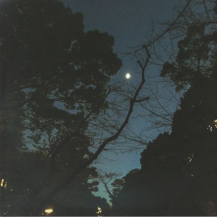 Fractures On The Horizon - Vinyl LP vinyl record cover