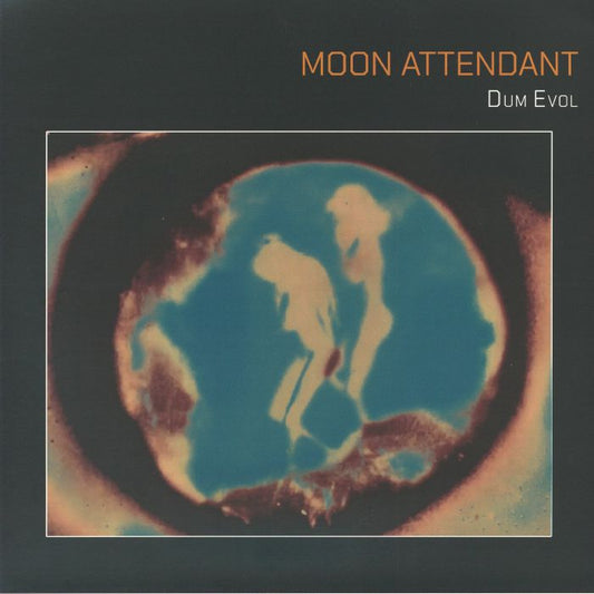 Dum Evol - Limited Edition Cosmic Pink Vinyl LP vinyl record cover