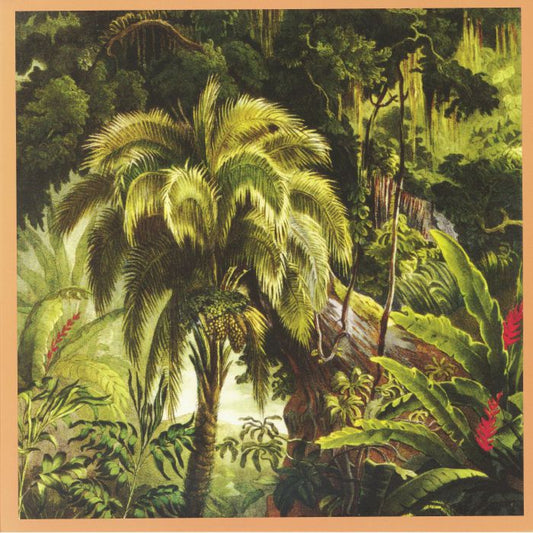 La Forêt - Limited Edition Jade Eco Vinyl LP vinyl record cover