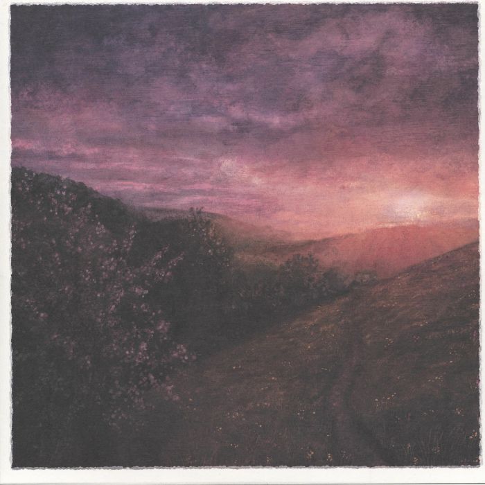 Morning Of May - Vinyl LP vinyl record cover