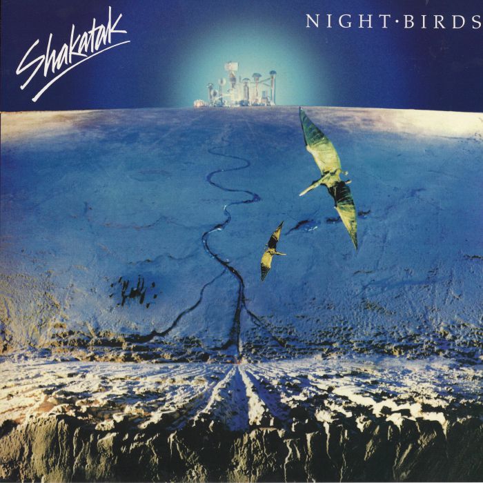 Night Birds - Remastered Vinyl LP vinyl record cover