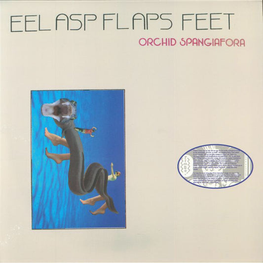Eel Asp Flaps Feet - Limited Edition Vinyl LP vinyl record cover
