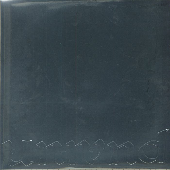 Leaves Turn Inside You - 25th Anniversary 2xLP vinyl record cover