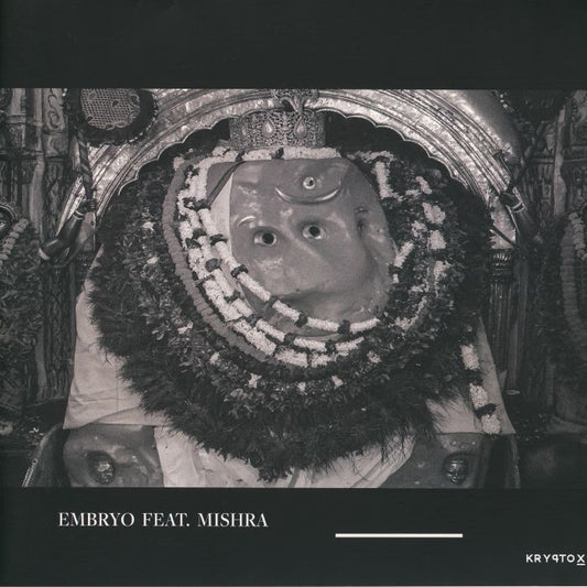 Embryo - Vinyl LP vinyl record cover