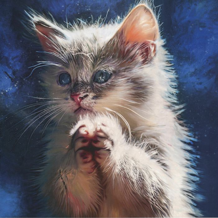 Pussy Disco: The Sunrise Sessions - Orbital Radiance 2xLP vinyl record cover