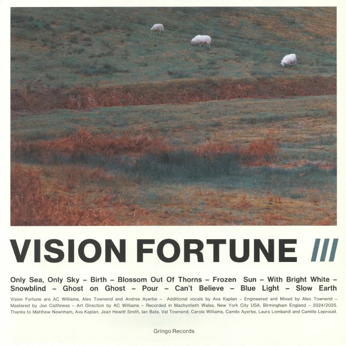 III - Vinyl LP vinyl record cover