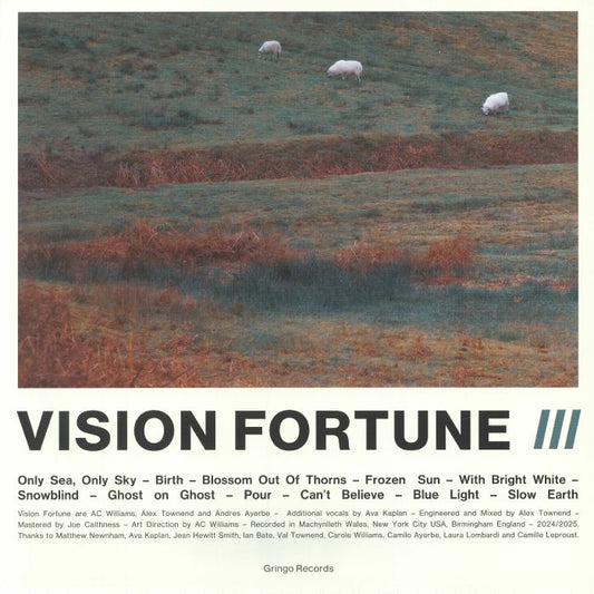 III - Vinyl LP vinyl record cover