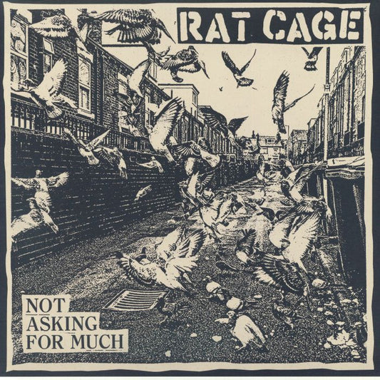 Not Asking For Much - Vinyl LP vinyl record cover
