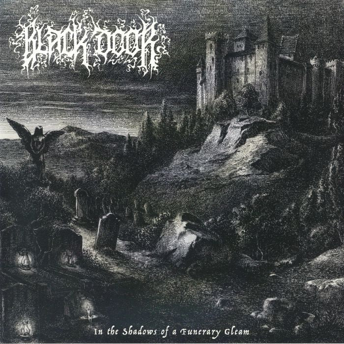 In The Shadows Of A Funerary Gleam - 180g Vinyl LP vinyl record cover