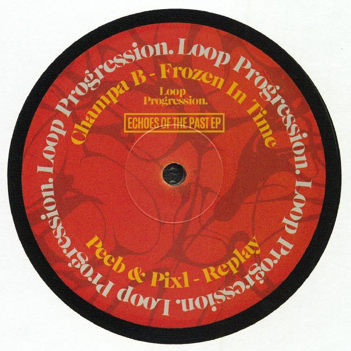 Echoes Of The Past - Vinyl EP vinyl record cover