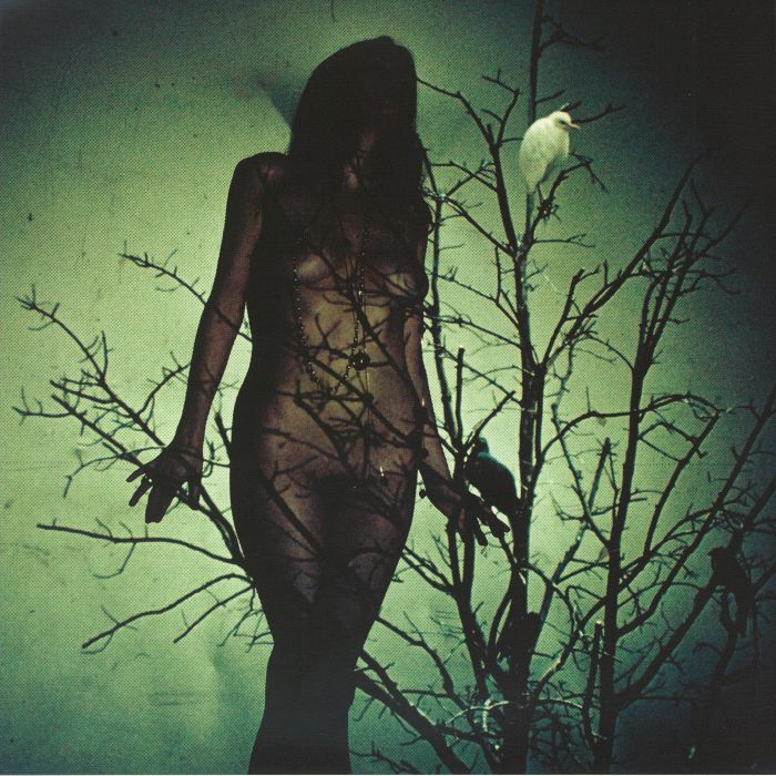 An Ache For The Distance - Green Marbled Vinyl LP vinyl record cover