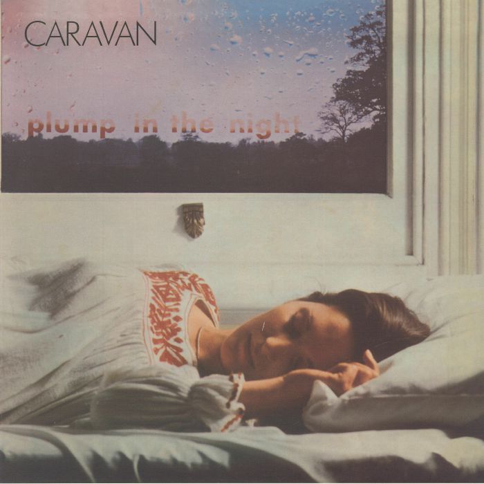 For Girls Who Grow Plump In The Night - Vinyl LP vinyl record cover