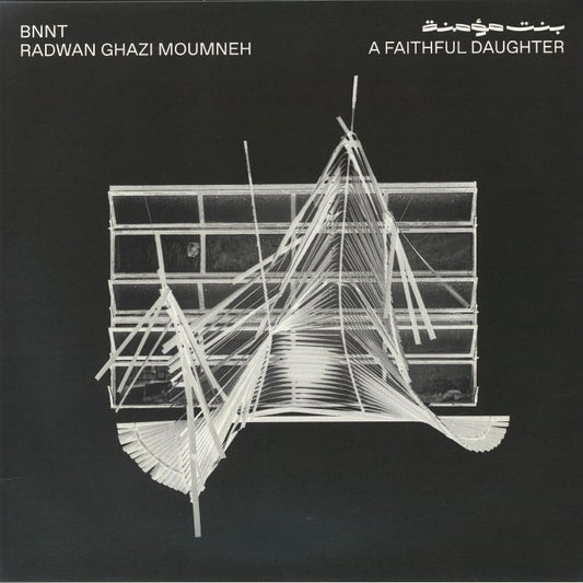 A Faithful Daughter - Vinyl LP vinyl record cover