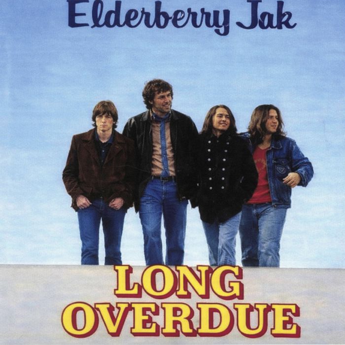 Long Overdue - Vinyl LP vinyl record cover