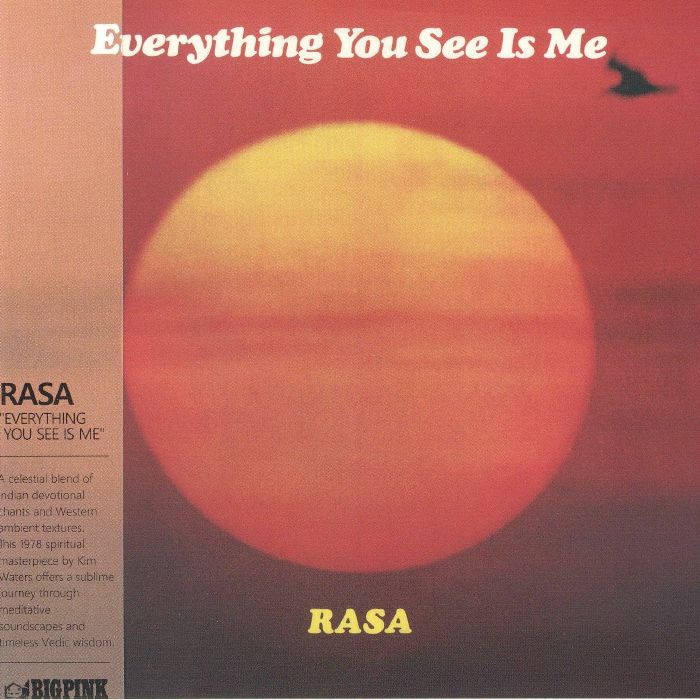 Everything You See Is Me - CD CD cover