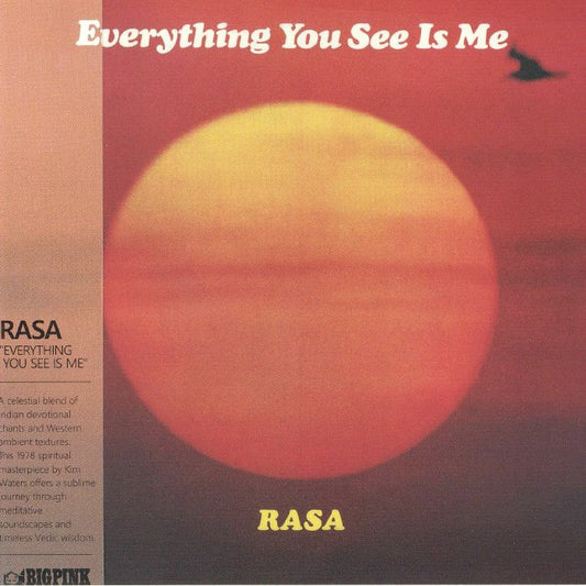 Everything You See Is Me - CD CD cover