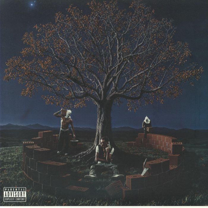 Miria - Vinyl LP vinyl record cover