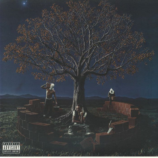 Miria - Vinyl LP vinyl record cover
