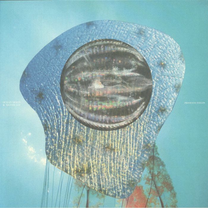 Prismatic Fields - Limited Edition Vinyl LP vinyl record cover