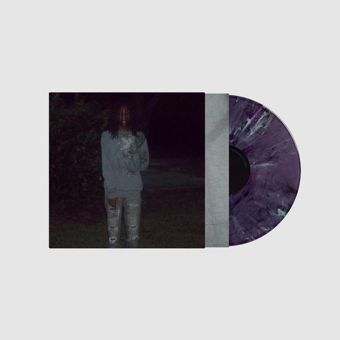 In Elsewhere - Purple Swirl Vinyl LP vinyl record cover