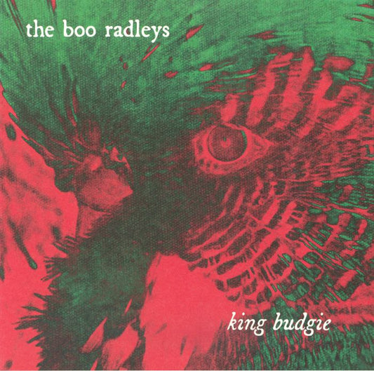 King Budgie - Limited Edition Vinyl EP vinyl record cover