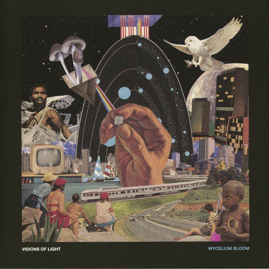 Mycelium Bloom - Vinyl LP vinyl record cover