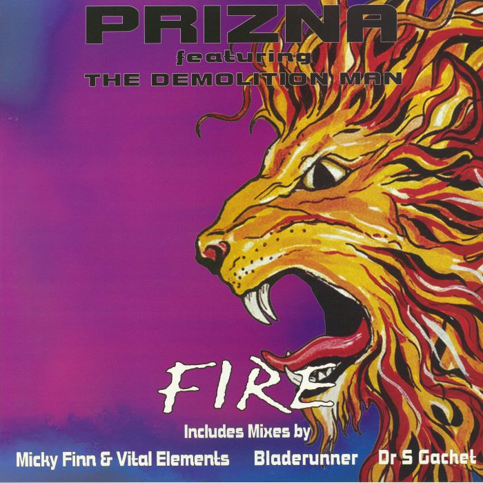 Fire Remixes 2 - Vinyl Single vinyl record cover