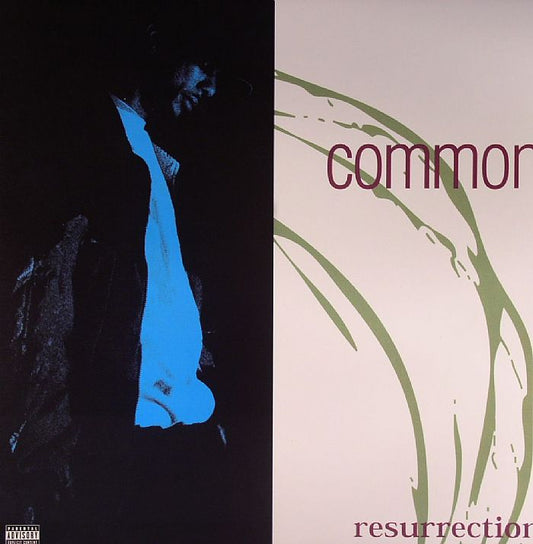 Resurrection - Vinyl LP vinyl record cover