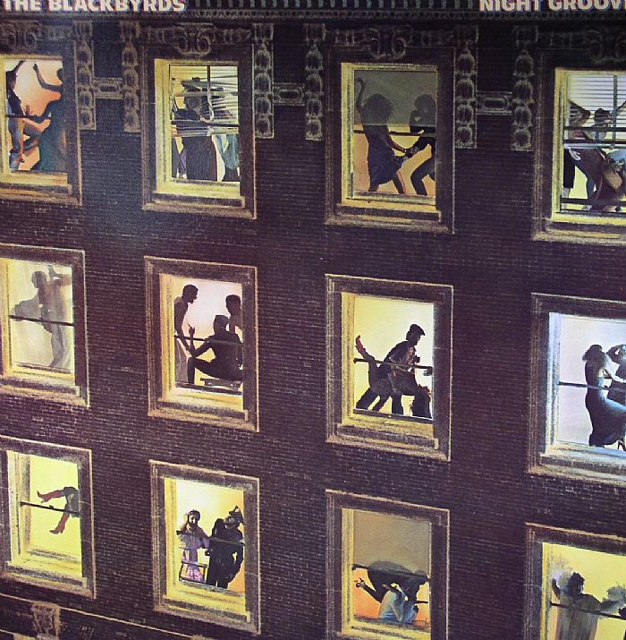 Night Grooves - Vinyl LP vinyl record cover