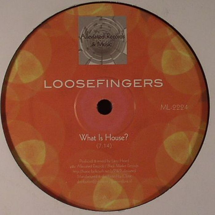 What Is House? - Vinyl 12 Inch vinyl record cover