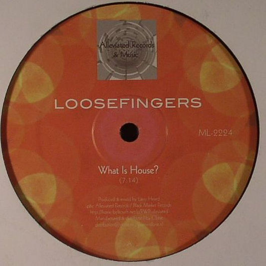 What Is House? - Vinyl 12 Inch vinyl record cover