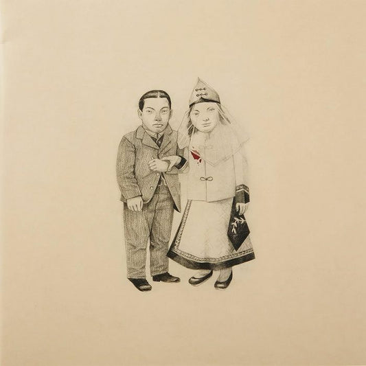 The Crane Wife - 2xLP vinyl record cover