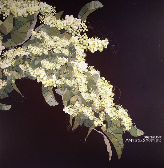 Anticlockwise - 2xLP vinyl record cover
