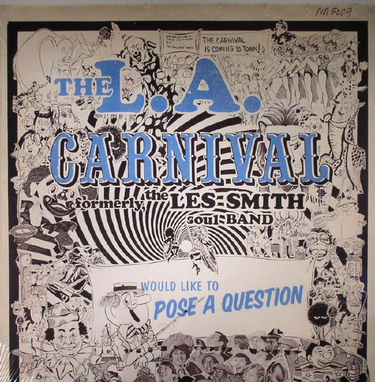 Would Like To Pose A Question - 2xLP vinyl record cover