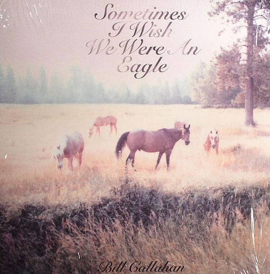 Sometimes I Wish We Were An Eagle - Vinyl LP vinyl record cover
