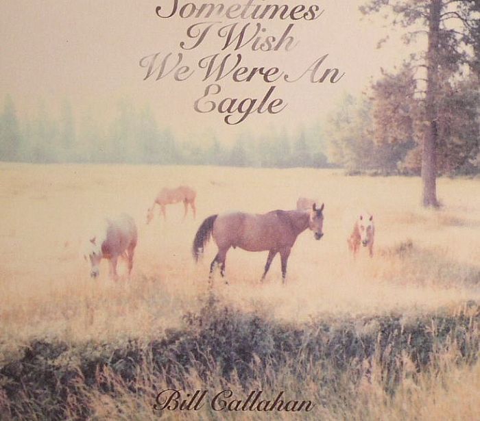 Sometimes I Wish We Were An Eagle - CD CD cover