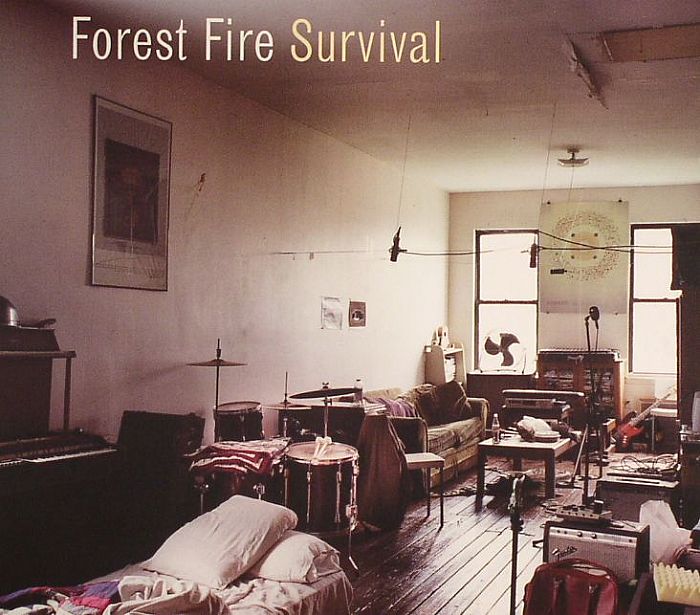 Survival - CD CD cover