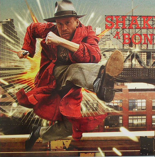 Shake A Bone - Vinyl LP vinyl record cover