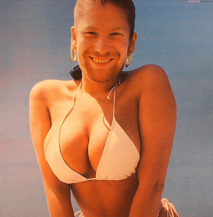 Windowlicker - Vinyl Single vinyl record cover