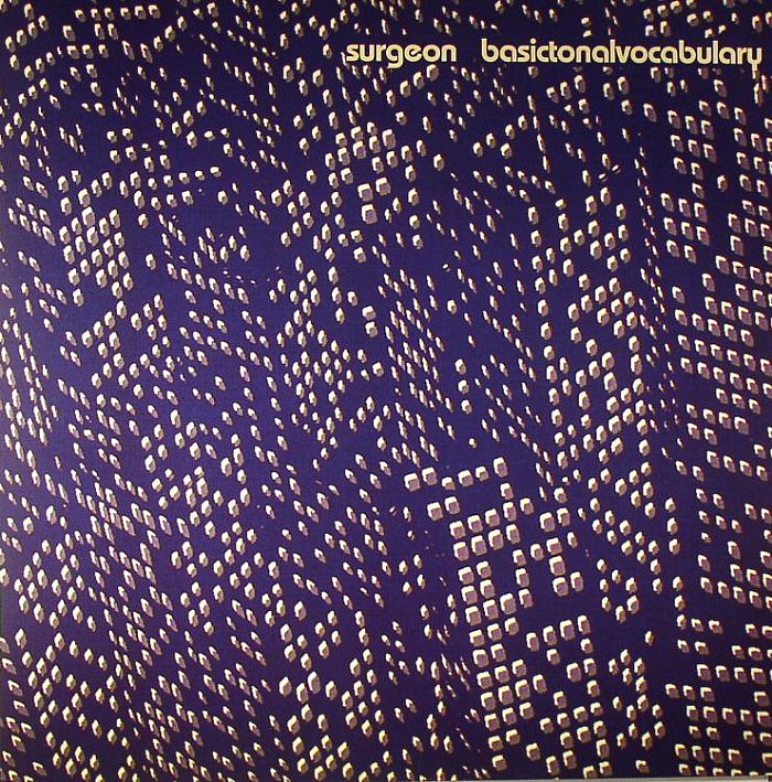 Basictonalvocabulary - 2xLP vinyl record cover
