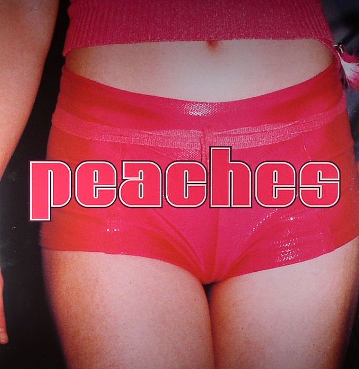 The Teaches Of Peaches - Vinyl LP vinyl record cover
