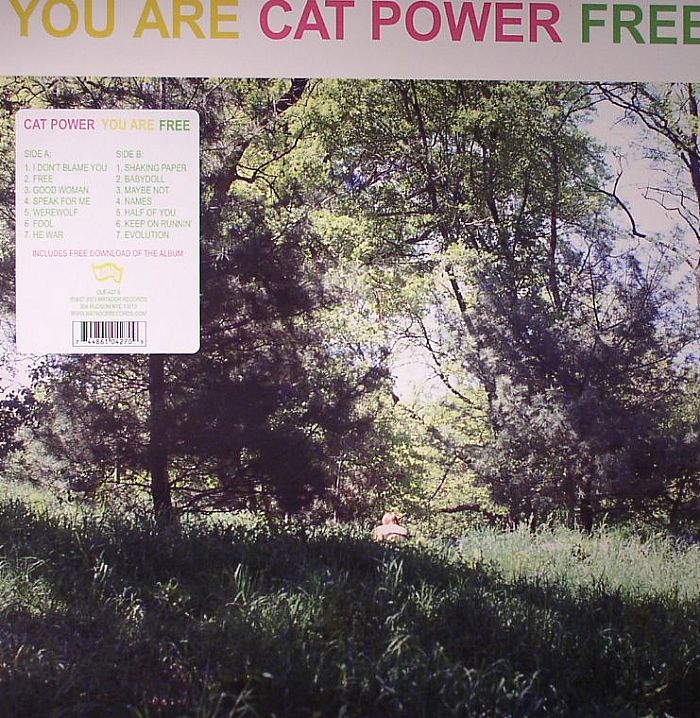 You Are Free - Vinyl LP vinyl record cover