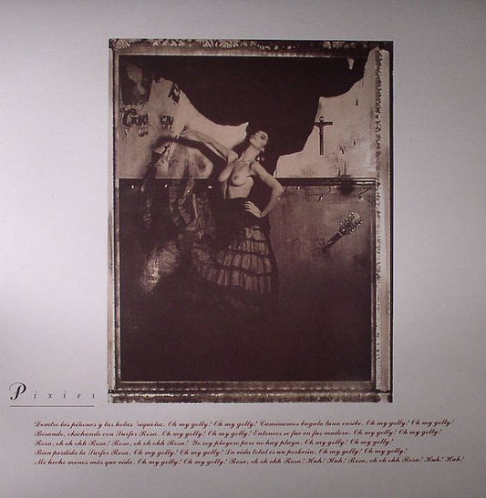 Surfer Rosa - Vinyl LP vinyl record cover