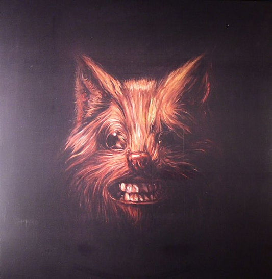 The Seer - 3xLP vinyl record cover