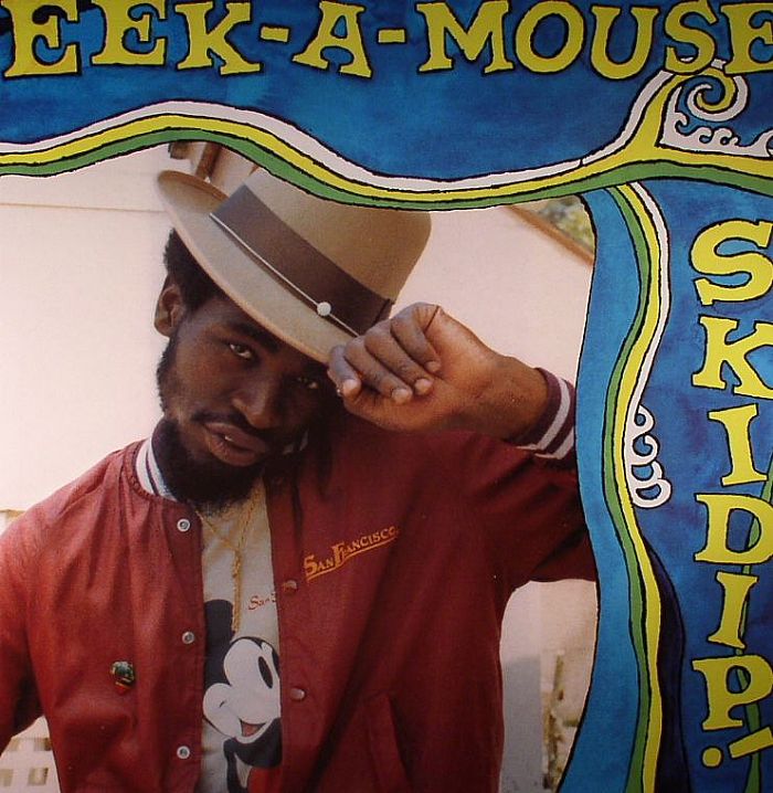 Skidip - Vinyl LP vinyl record cover