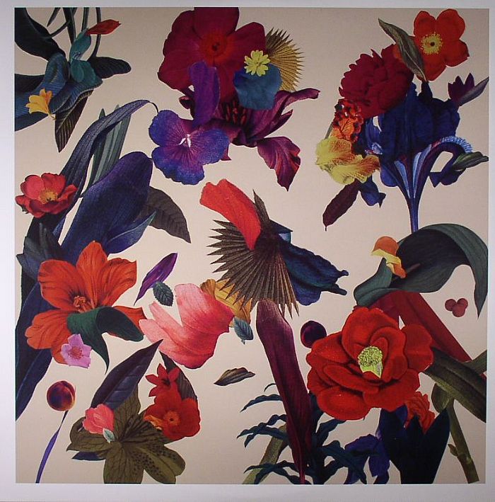 Paracosm - Vinyl LP vinyl record cover