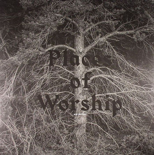 Places Of Worship - Vinyl LP vinyl record cover