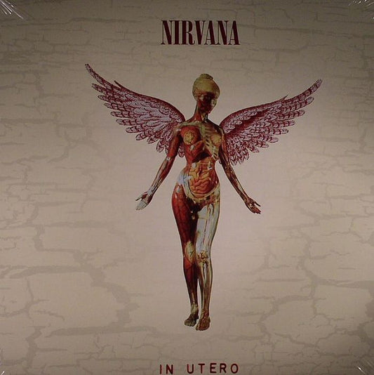 In Utero (20th Anniversary Reissue) - 3xLP vinyl record cover