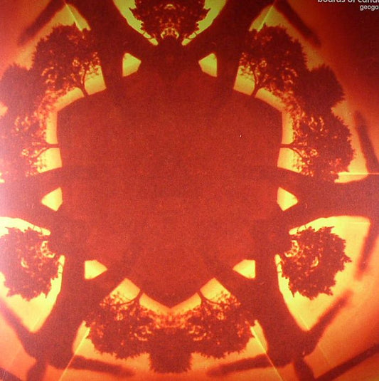 Geogaddi - 3xLP vinyl record cover