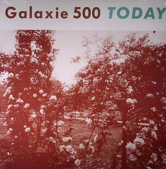 Today - Vinyl LP vinyl record cover